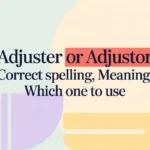 Adjuster or Adjustor