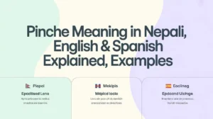 Pinche Meaning in Nepali