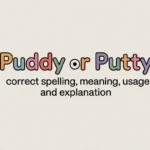 Puddy or Putty
