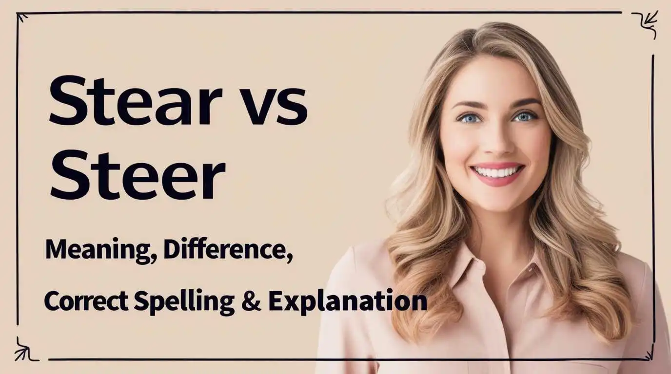 Stear vs Steer