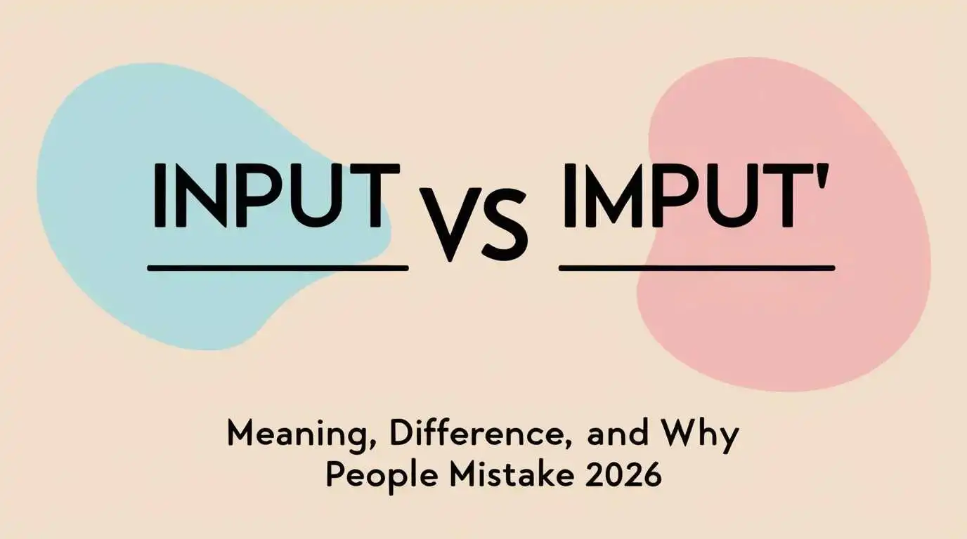 Input vs Imput
