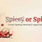 Spicey or Spicy
