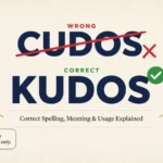 Cudos or Kudos